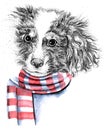 Portrait of a dog in a scarf. Coldly