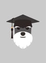 Portrait of dog, wearing bachelor cap, like a doctor , cool style, cosplay Royalty Free Stock Photo