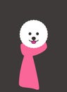 Portrait of dog, wearing scarf, like a girl, cool style, cosplay Royalty Free Stock Photo