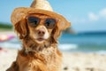 portrait of dog wearing sunglasses and sun hat on beach. dog in hat and glasses in a bright sea, concept of vacation and tourism, Royalty Free Stock Photo