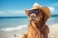 portrait of dog wearing sunglasses and sun hat on beach. dog in hat and glasses in a bright sea, concept of vacation and tourism, Royalty Free Stock Photo
