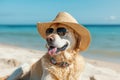 portrait of dog wearing sunglasses and sun hat on beach. dog in hat and glasses in a bright sea, concept of vacation and tourism, Royalty Free Stock Photo