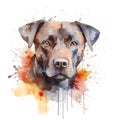 Portrait of a dog on a white background. Watercolor stylization, labrador. White background.