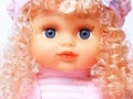 Portrait doll Royalty Free Stock Photo