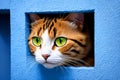 Portrait of a domestic red cat, peeking out of the hole. Generative AI