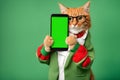 Portrait of a dressed cat with a smartphone with a green screen on a green background. Playground AI platform.