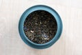 A portrait of dried loose fresh marrakech mint tea in a blue can. Ready to be used to make a delicious fresh cup of the warm Royalty Free Stock Photo