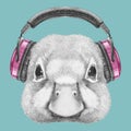 Portrait of Duck with headphones.