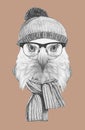 Portrait of Eagle with hat, glasses and scarf. Royalty Free Stock Photo