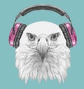 Portrait of Eagle with headphone.