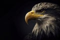 portrait of a eagle isolated on black background with copy space. ai generative Royalty Free Stock Photo