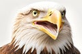 portrait of eagle smiling with all his teethon a white background