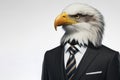 Portrait of a eagle wearing a businessman suit and tie isolated on solid white background. ai generative