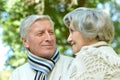 Portrait of elderly couple in autumn park Royalty Free Stock Photo