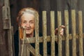 Portrait of an elderly happy woman in the village near the wooden fence. Royalty Free Stock Photo