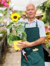 Elderly man in greenhouse Royalty Free Stock Photo