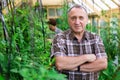 Portrait of elderly man posing in the greenhouse Royalty Free Stock Photo