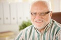 Portrait of elderly man wearing glasses Royalty Free Stock Photo