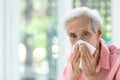 Portrait of elderly woman blowing nose in paper handkerchief,runny nose,Asian senior woman sneezing in a tissue,concept of Royalty Free Stock Photo