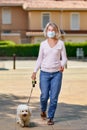 Portrait elderly woman with a dog outdoors an antivirus mask Royalty Free Stock Photo