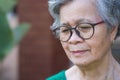 A portrait of an elderly woman with short gray hair, wearing glasses, smiling, and looking down while standing in a garden Royalty Free Stock Photo