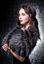 Portrait of elegant brunette retro woman wearing silver fox fur over vintage background