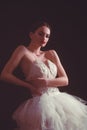 Portrait of an elegant refined ballet woman dancer posing in studio. Royalty Free Stock Photo