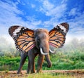 Portrait of elephant with butterfly wings in forest Royalty Free Stock Photo