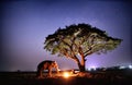 Portrait of Elephant and mahout in the forest against night sky