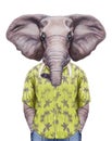 Portrait of Elephant in summer shirt.
