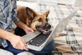 Dog Looking at Laptop Screen