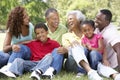 Portrait Of Extended Family Group In Park