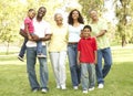 Portrait Of Extended Family Group In Park Royalty Free Stock Photo