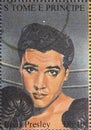 Portrait of famous American singer Elvis Presley