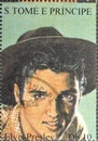 Portrait of famous American singer Elvis Presley