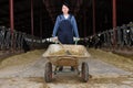 Portrait of a farm woman Royalty Free Stock Photo