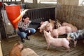 Portrait of a farm woman on a pig farm