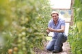 Portrait Of Farmer Checking Tomato Plants In Greenhouse Royalty Free Stock Photo