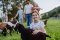 Portrait of farmer family petting donkey and goats on their farm. A gray mule and goats as a farm animals at the family