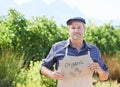 Portrait, farmer or man with organic sign on countryside for crops, agriculture and local market. Nature, mature owner