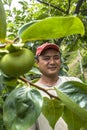 portrait of farmer on peaches fruit orchard