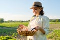 Portrait of farmer woman in hat with basket of fresh egg Royalty Free Stock Photo