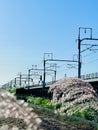 Shinkansen japan fast train Royalty Free Stock Photo