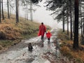 Portrait of a father and son holding hands while walking on a dirt road in a forest Royalty Free Stock Photo