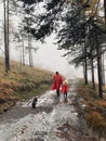 Portrait of a father and son holding hands while walking on a dirt road in a forest Royalty Free Stock Photo