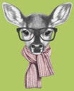 Portrait of Fawn with scarf and glasses, hand-drawn illustration