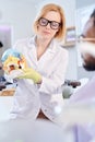 Female Dentist Holding Skull Model