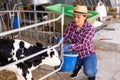 Portrait of female farm worker feeding calves Royalty Free Stock Photo