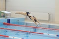 Portrait of a female swimmer, that jumping and diving into indoor sport swimming pool. Sporty woman Royalty Free Stock Photo