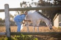 Portrait of female veterinarian examining horse Royalty Free Stock Photo